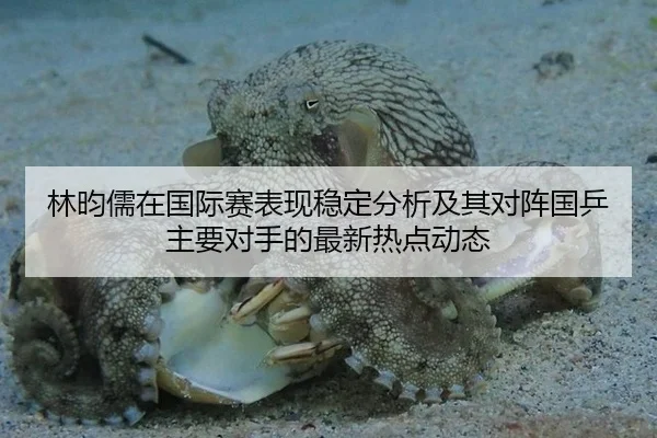 林昀儒在国际赛表现稳定分析及其对阵国乒主要对手的最新热点动态